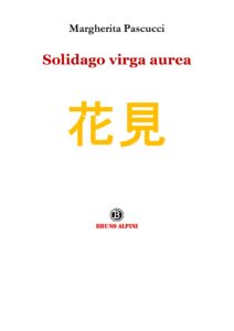 Solidago virga aurea